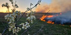 Rangeland, Fire, and Wildlife Tour