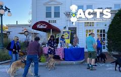 Community Bake at Flatbread Company  — ACTS - Assistance Canine Training Services