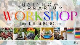 Rainbow Terrarium Workshop