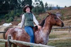 Natural Horsemanship Retreat with Yoga