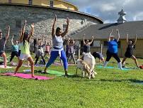 Goat Yoga: June 22