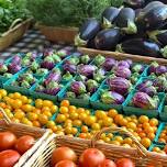 Rhinebeck Farmers Market