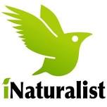 iNaturalist Workshop- CEW (Continuing Education Workshop)