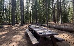 Wanderlust Tours | FORAGE TO TABLE: GUIDED FORAGING & FOUR COURSE DINNER