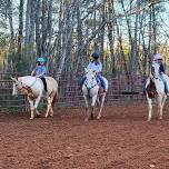 Horse Fun Show