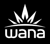 Wana – Vendor Pop-Up Day – 05/24/2024 – Silver Therapeutics Bennington