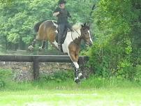 Pontispool Pony Camp For Adults 14th - 16th of June 2024