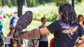 Timpanogos Cave Raptor Program