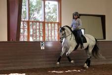 Bill McMullin Dressage Clinic