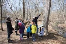 Homeschool Nature Explorer Session 5: Maple Syrup