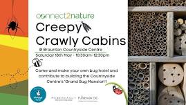 Creepy Crawly Cabins - Make your own bug hotel