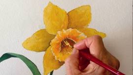 Watercolor for Beginners: Daffodils Delight!