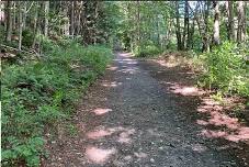 National Trails Day on the Parksville O&W Rail Trail!