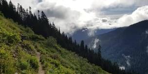 Cascadian Wilderness Endurance Series - WAS UP - What a Surprise Creek Loop