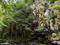 Sugar Hollow - 5 Mile Hike with 6 Water Crossings.  Dogs welcome.