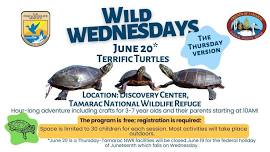 Wild Wednesdays: June 20* (yes, it's a Thursday)- Terrific Turtles