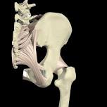 Sandpoint, ID: KNEE Issues, Oct 17, ’24PELVIS, HIP, & SACRUM, Oct 18 – 19, ’24