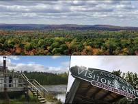 Hiking: Algonquin Park -- 4 km (moderate)