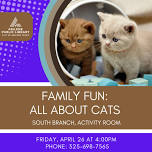 Family Fun: All About Cats