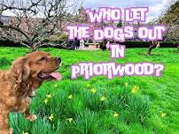 Who let the dogs out in Priorwood?