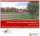 Trading As Accelerated Insights In The USA: Onsite Certificate In Equine Facilitated Interactions – Module One (Illionois, USA) October 2024