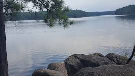 Red Top Mountain State Park - Homestead Trail