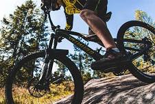 Guided Mountain Bike Ride