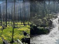 Wildflower hike to Cascade Falls in RMNP followed by lunch in Grand Lake!