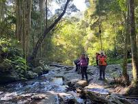 Purling Brook Falls and Warringa Pool - Summer Cool