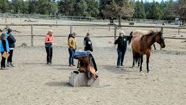 Memorial Day Equine Massage Classes