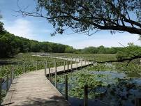 Tuesday Morning Walks – Maplewood Nature Center