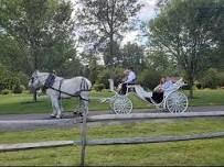 Mother's Day Weekend Private Vis a Vis Horse Drawn Carriage Ride