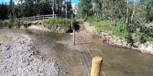 Lee Creek Riparian Planting Days