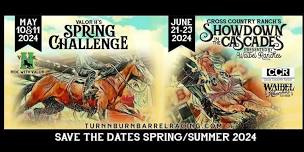 Valor H Spring Challenge