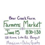 Bear Creek Farm Farmers Market in Bangall