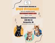 Cat Adoption - Los Gatos Saturday 5/4/24