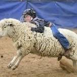 Mutton Bustin’