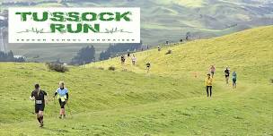 Seddon School Tussock Run