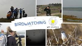 Krtsanisi Park Birdwatching Tour – 13 Apr