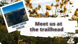 Meet Us at the Trailhead