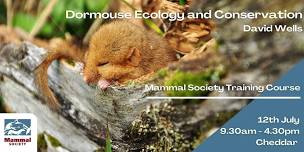 Dormouse Ecology & Conservation - In-person