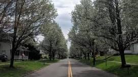 County Line Historical Society Bake Sale