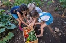 Youth Gardening Workshop