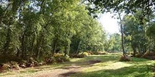 A walk below sea level, the lowest point in the UK – Holme Fen