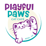 Beer + Cookie Tasting at Playful Paws Cat Cafe