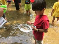 Panning for Creek Gems