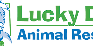 Lucky Dog Animal Rescue Adoption Event at Snouts & Stouts