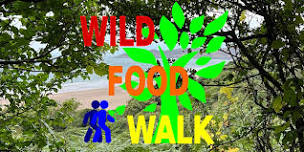 May Coastal (Woolacombe, North Devon) Wild Food Foraging/ Foragers Walk.