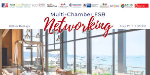 Multi-Chamber ESB Networking Hosted by AMCHAM