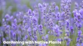 Gardening with Native Plants (Senior College in the Community)